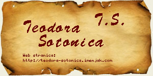 Teodora Sotonica vizit kartica